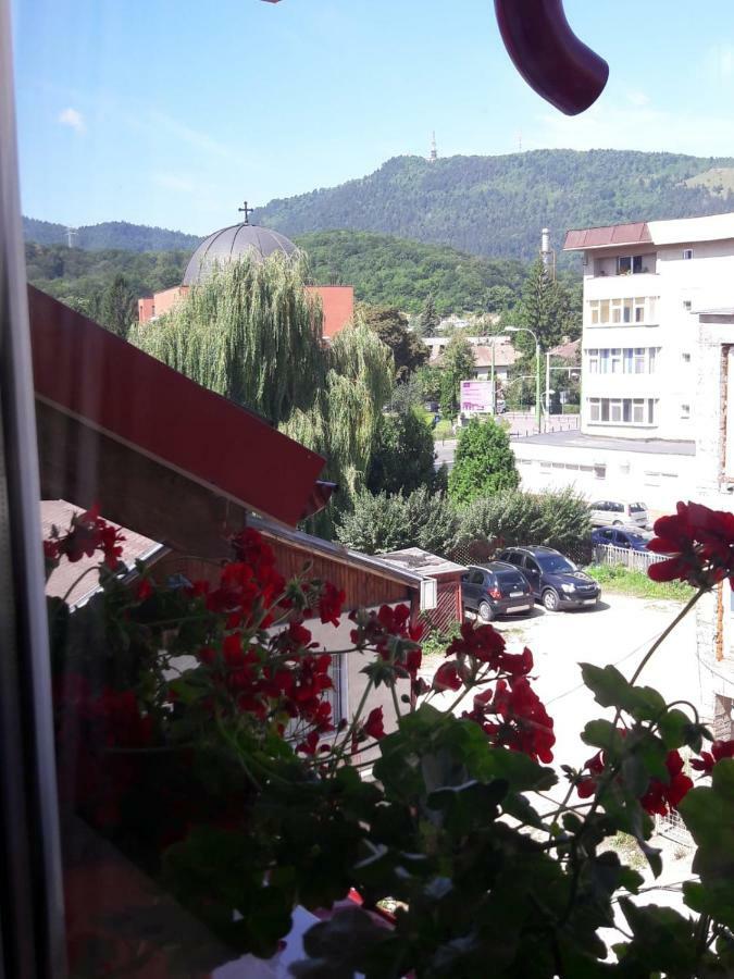 Apartamento Felicita Braşov Exterior foto